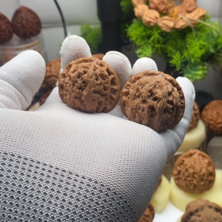 核桃白狮子文玩核桃40