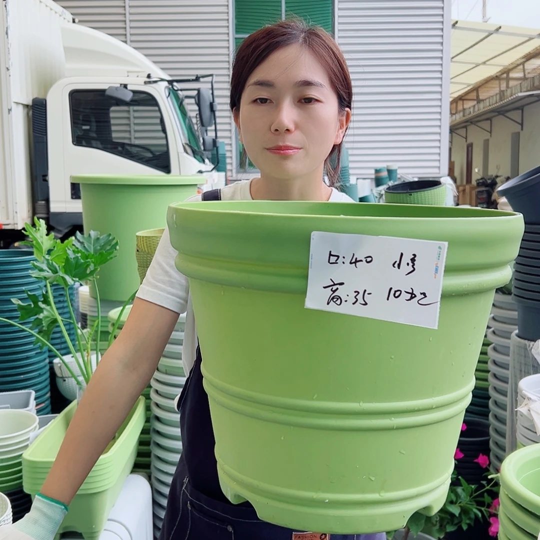 罗盆小号果绿3个无托