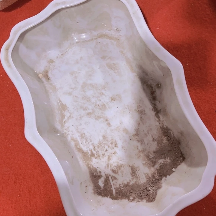 瓷片谁先把便宜又好