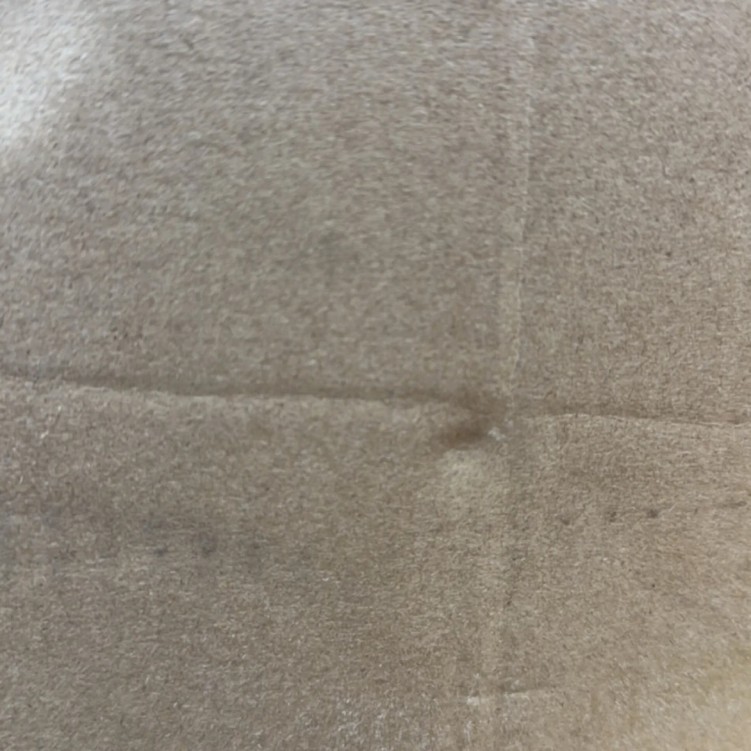 直播间红茶，花茶，绿茶或茶具活动