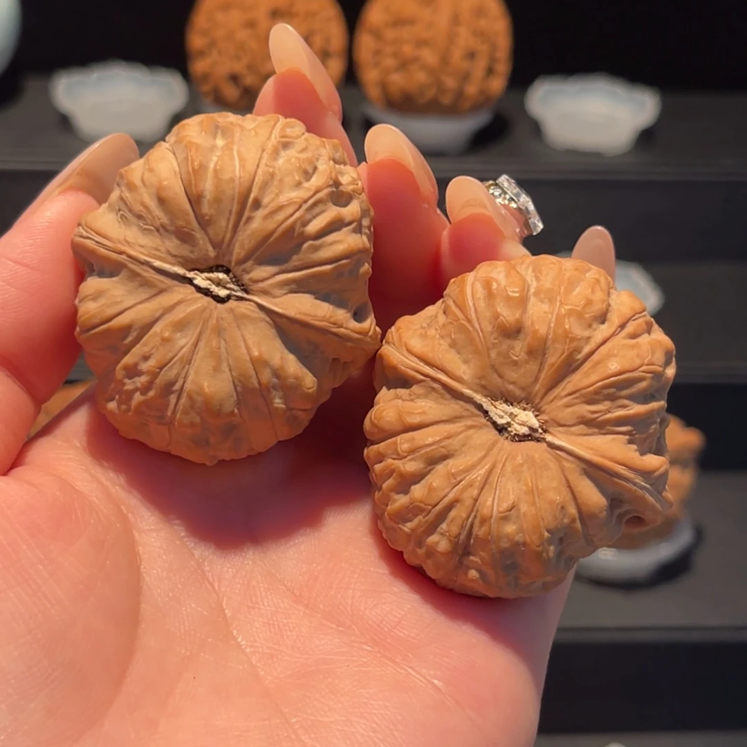 南瓜墩42，全品，货头