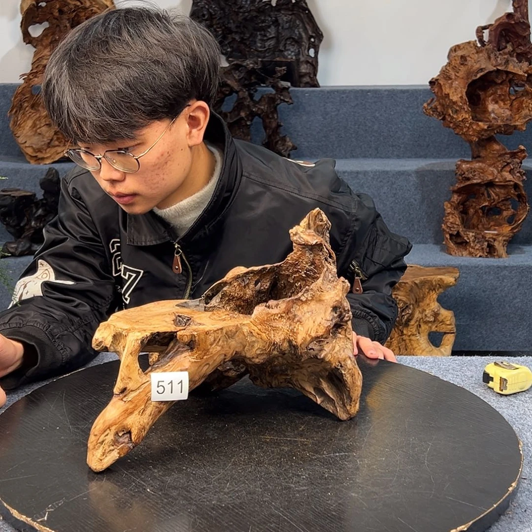 数***星木511个哥哥哥哥哥哥哥哥