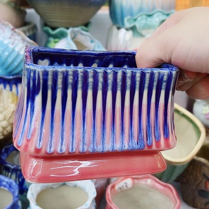 多肉植物陶瓷花盆