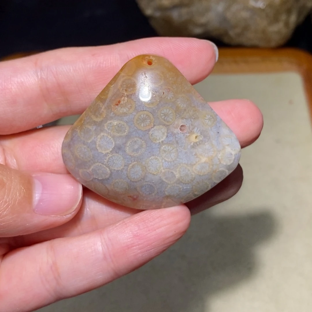 【闪购商品】硅化玉颈饰未镶嵌
