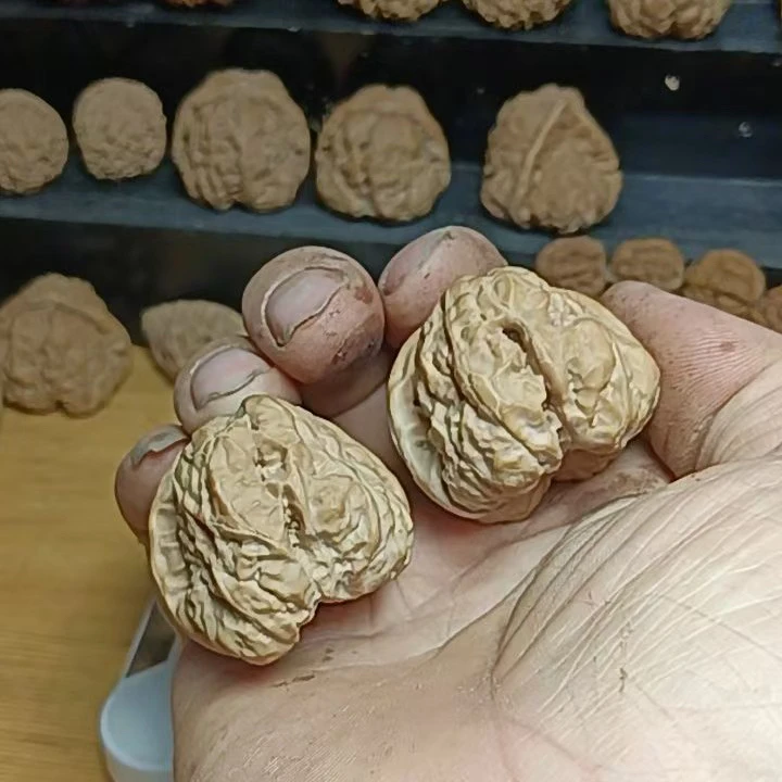 正宗延庆金蟾蛤蟆头文玩核桃全品无修天然老树山地果