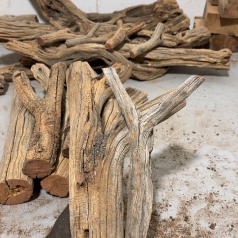 大果紫檀（缅甸花梨）不****子