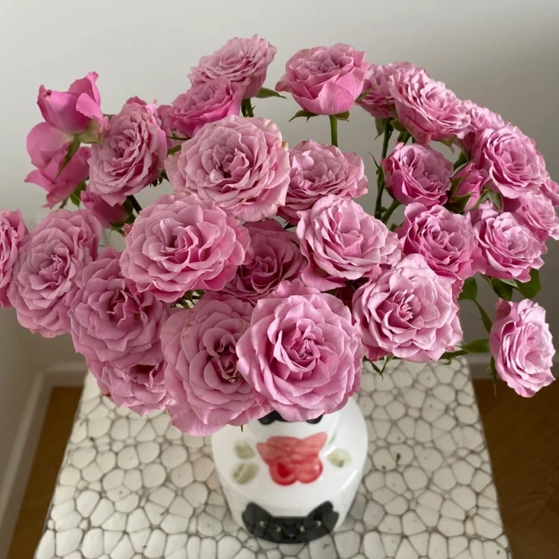 【锦上花舍】多头玫瑰诺拉一单顺丰冷链/偏远地区德邦空运