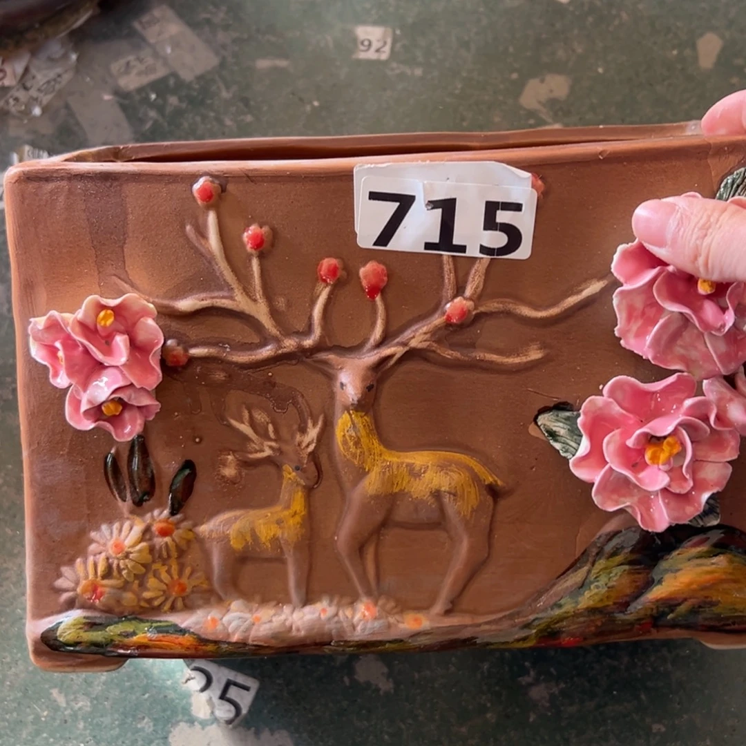 花盆，拍满20发货，退款拉黑