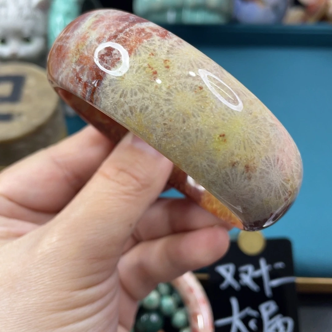 未镶嵌手镯硅化玉