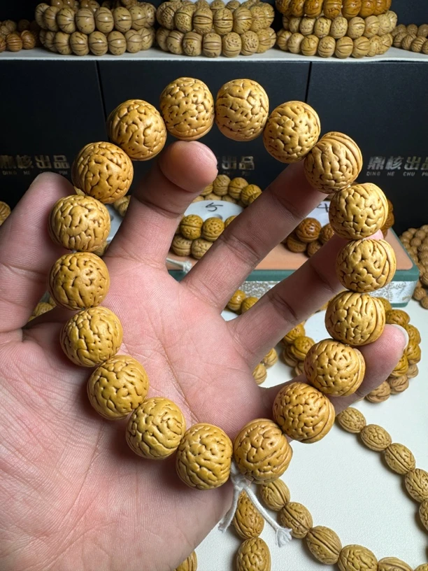 鼎核体验款【盘锦大肌肉】尺寸18左右