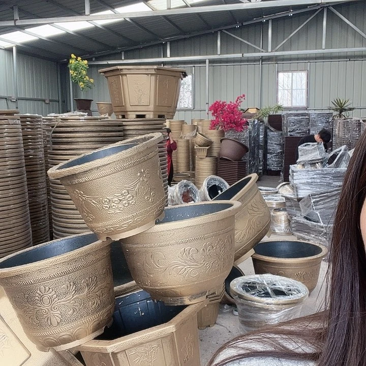 复合盆景6658855588