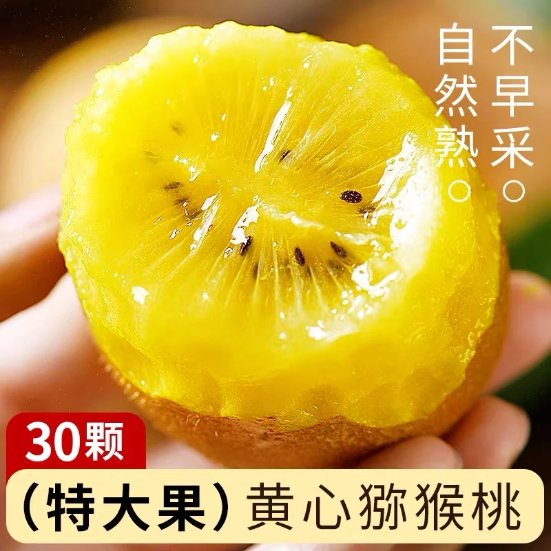 四川蒲江黄心猕猴桃奇异果大果孕妇树上熟弥猴桃20当季整箱30包邮