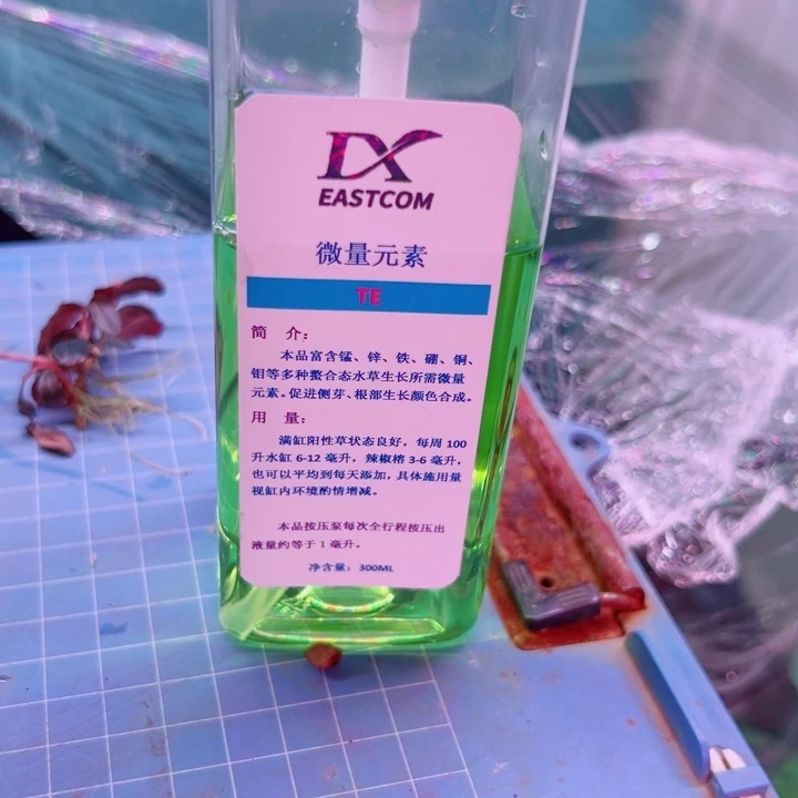 无花朵福利辣椒榕微量