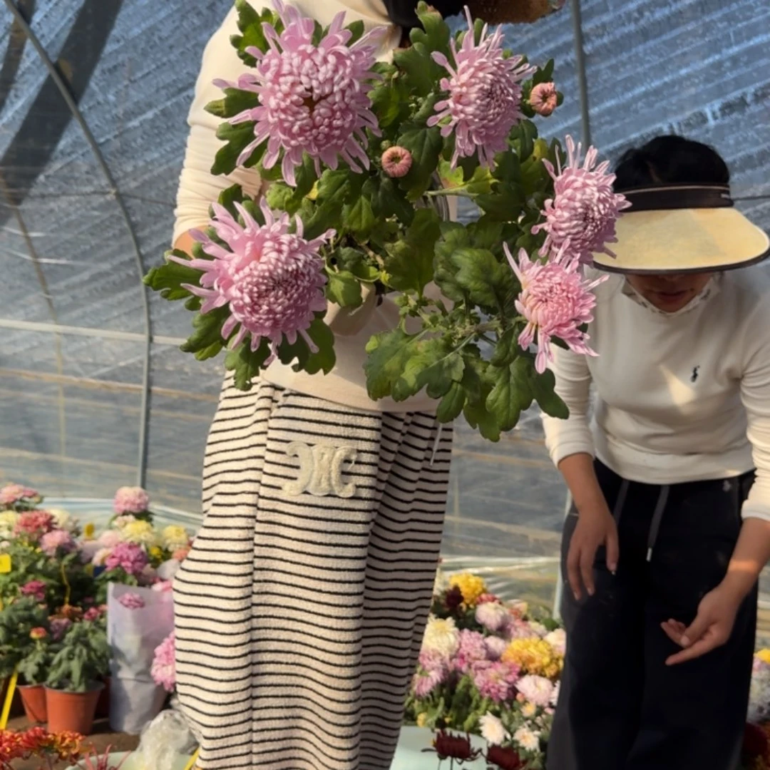 西***西完全开放灯下舞娘