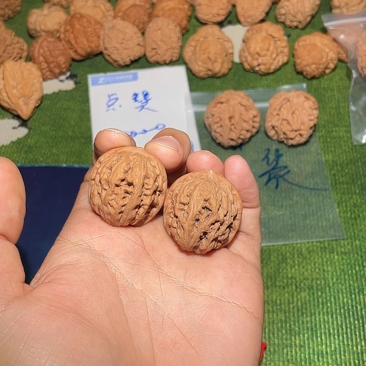 文玩核桃把件开播福利32凤凰台全品无修