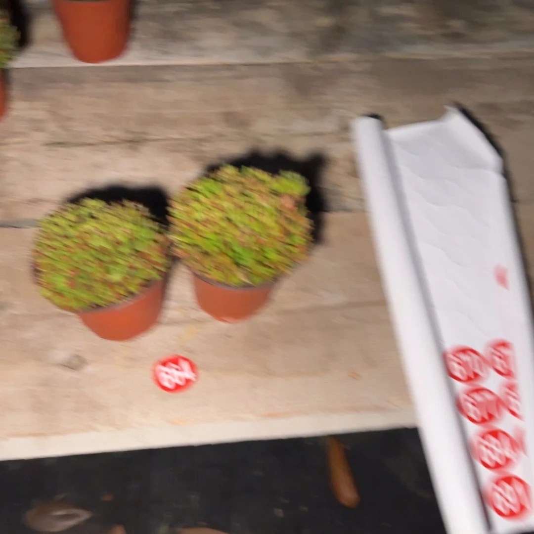 万**意大棚转让664