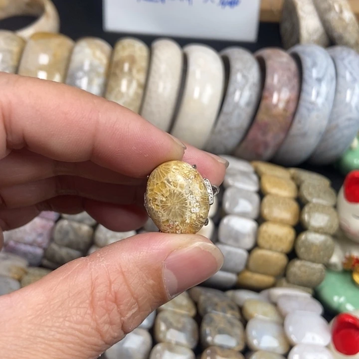 未镶嵌手链硅化珊瑚（珊瑚玉）