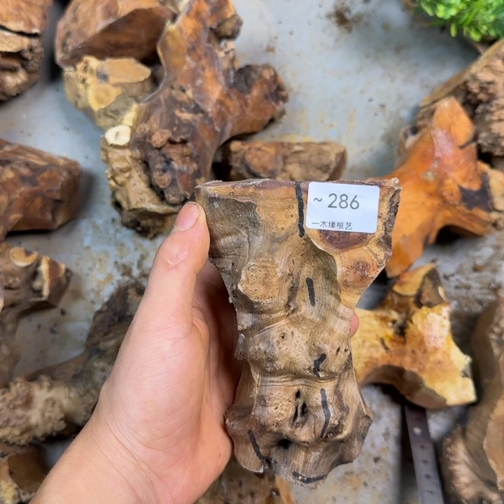 佳***人无花朵你0000000000286