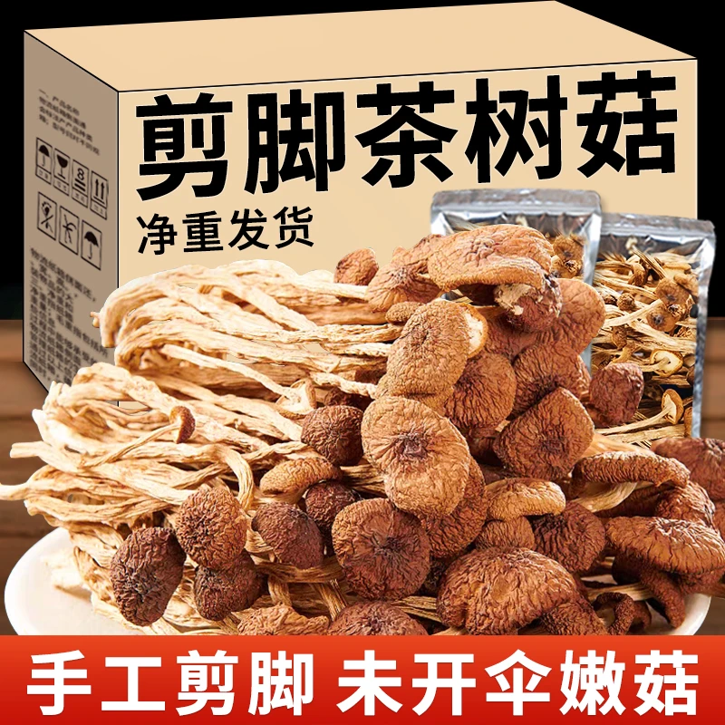 云南不开茶树菇批发农家香菇特产干货新鲜新货煲汤炒菜食材净重