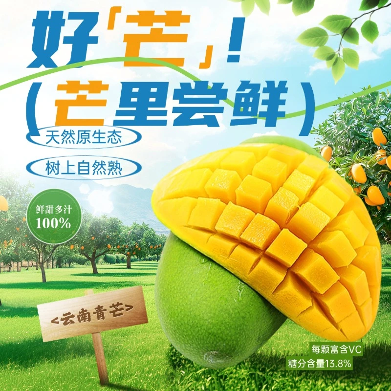 【凯特 金煌芒混发】云南新鲜水果应季水果清新 4.5/9斤