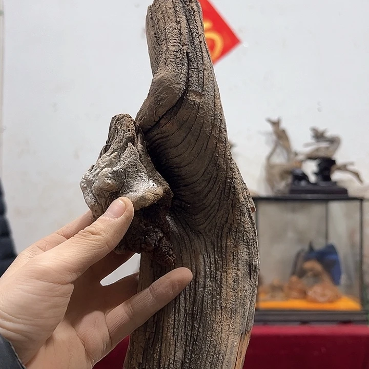 柏木木****店我们的生活也会越来越