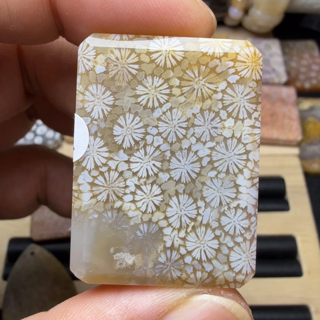 硅化玉未镶嵌纯天然色有机玉石保真色