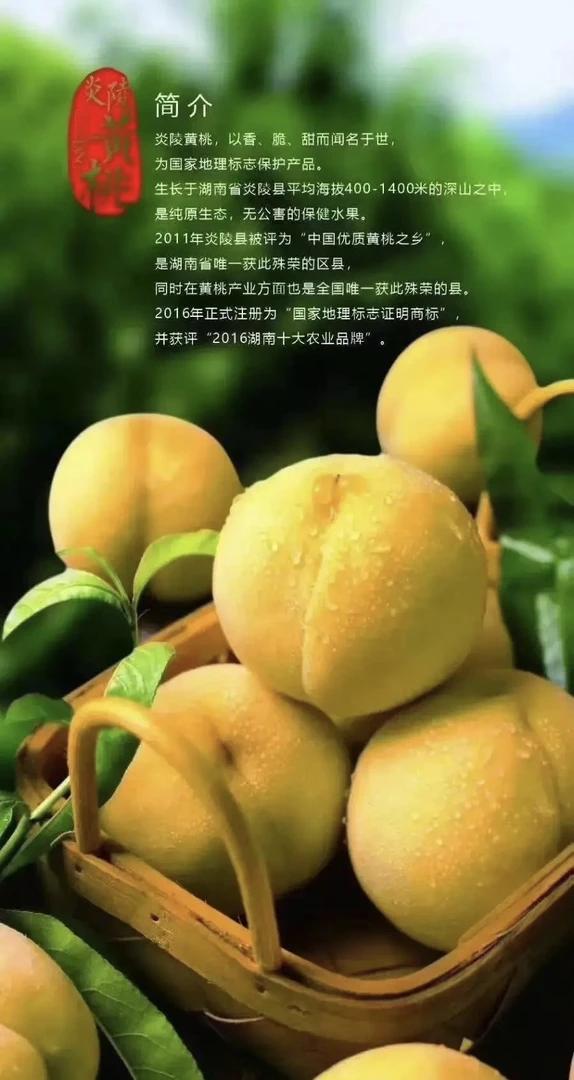 炎陵高山正宗锦绣黄桃大果脆甜可口产地直发京东水果专线包邮