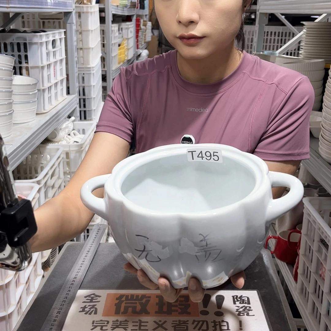 瓷片495              1个