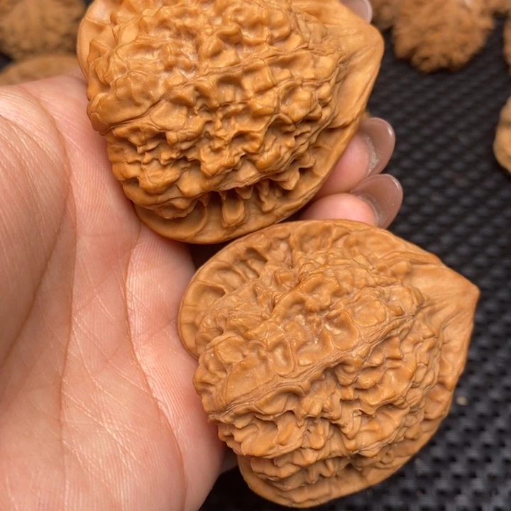 秦岭野生222222222