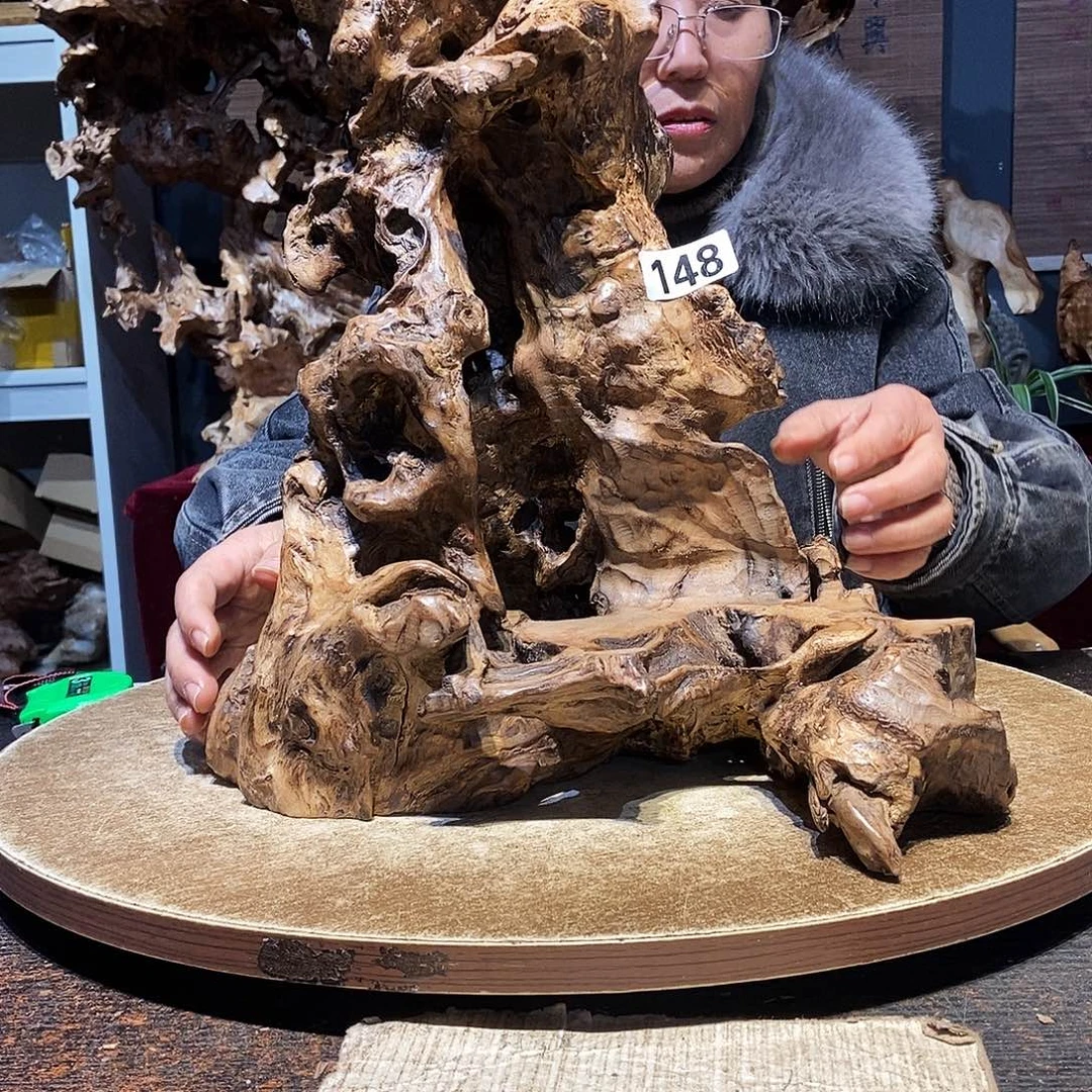 行***形148。株木随行根艺