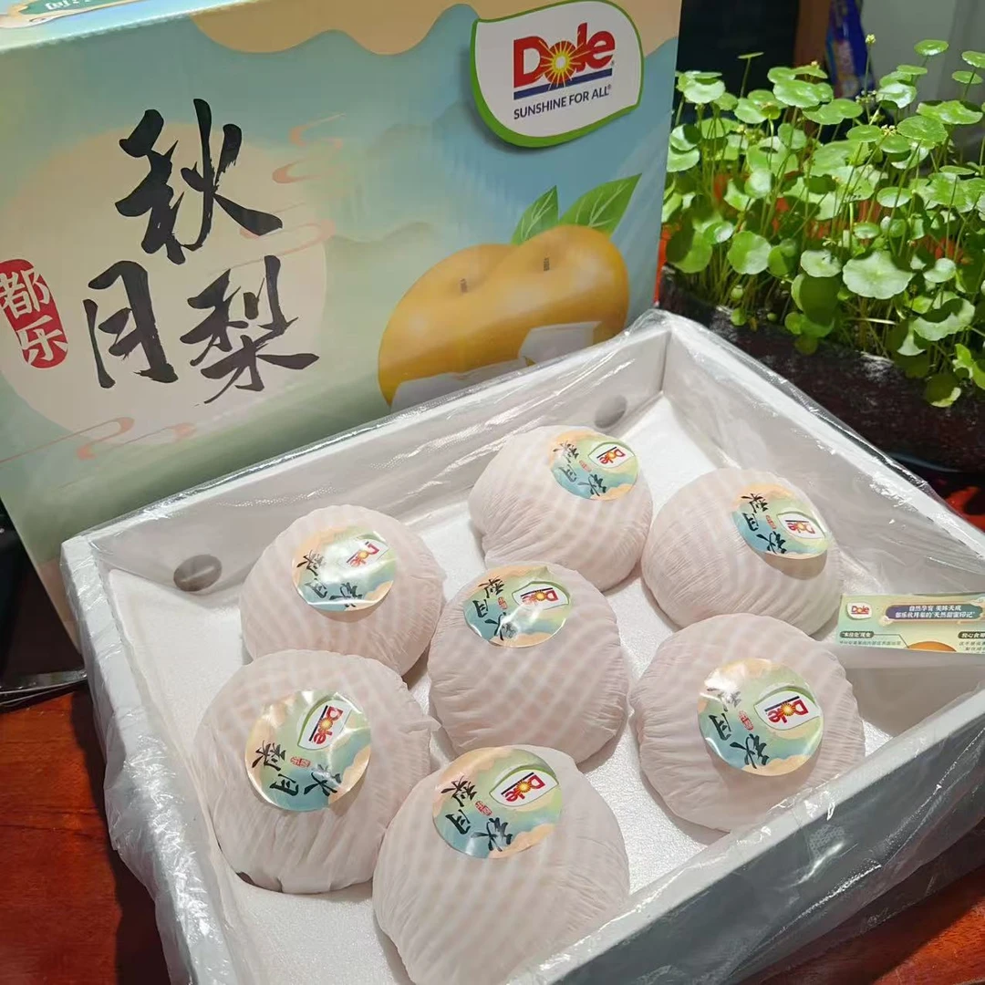【礼盒】乐山东 莱阳DL 秋月梨一箱7个6斤左右新鲜食用汁水足大果