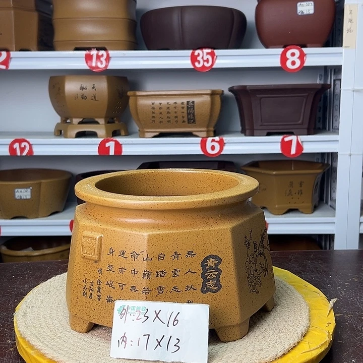 紫砂花盆你在一起