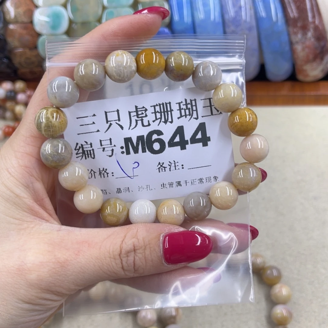 五***月硅化珊瑚（珊瑚玉）h未镶嵌