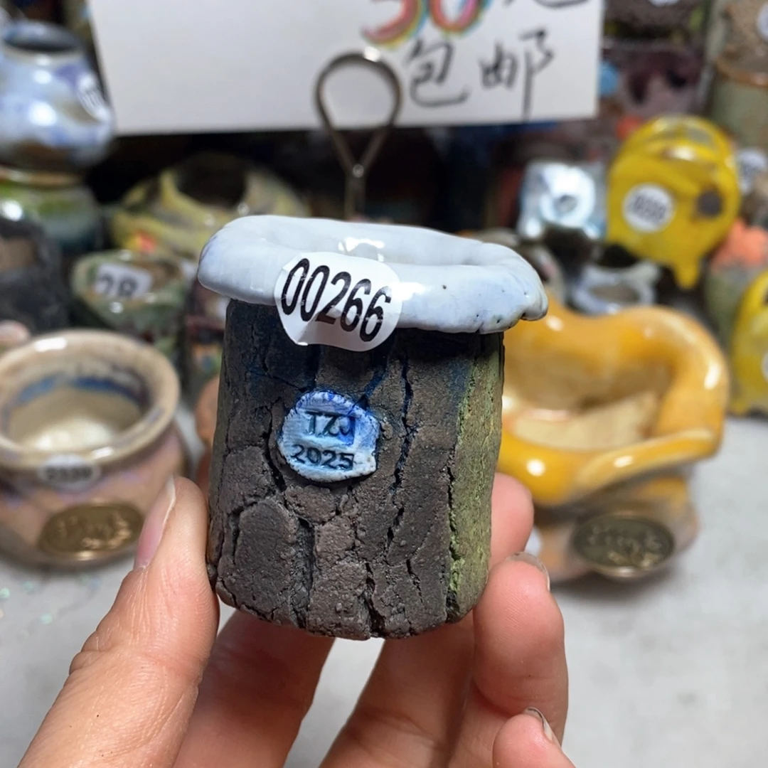 花盆拍3个送一个小礼物