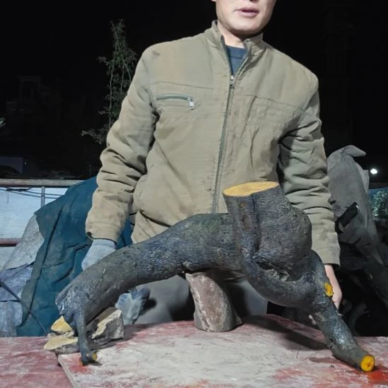 不***善无花朵山里人家金单子