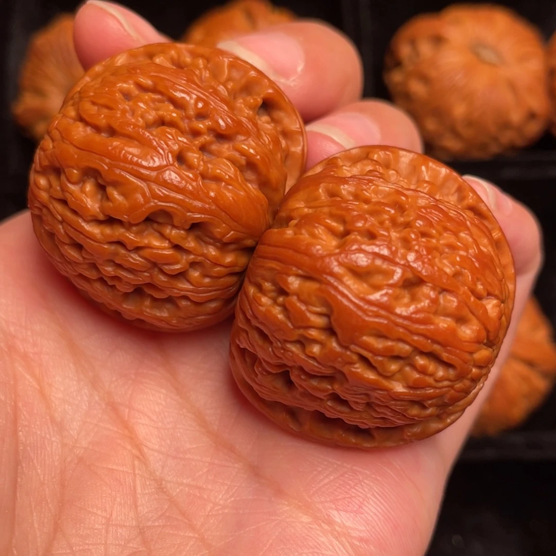 秦岭野生文玩核桃