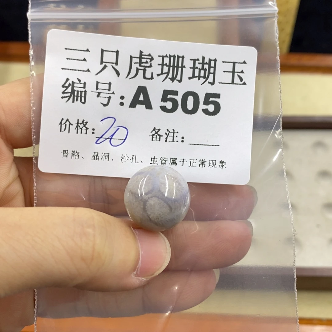 硅化珊瑚（珊瑚玉）1未镶嵌@****?