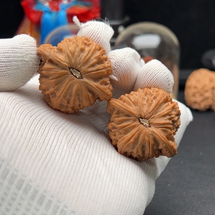 文玩核桃把件秋*40全品歪磨