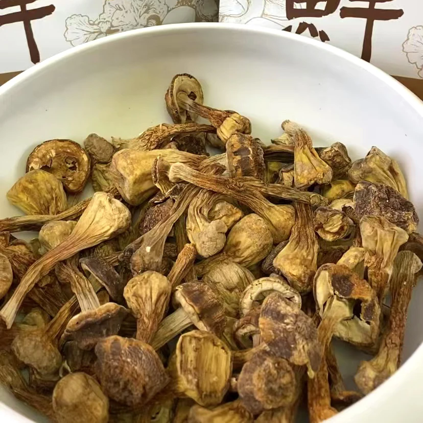 2024年新货吉林长白山野生姬松茸蘑菇干货东北特产炖汤菌菇无添加