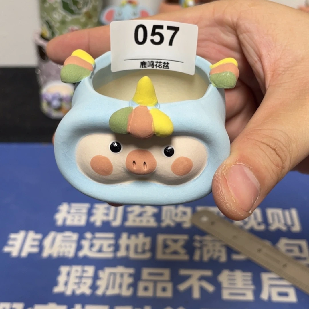 特价微瑕不退不换57