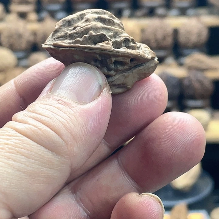 把件文玩核桃小鸟