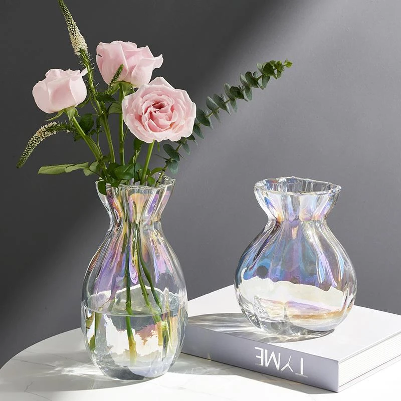 北欧网红风创意玻璃花瓶摆件透明水养水培插花客厅餐桌高级感