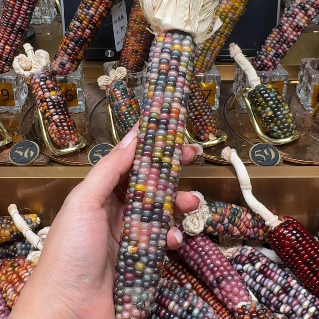 柏香籽/百香籽吊坠米*