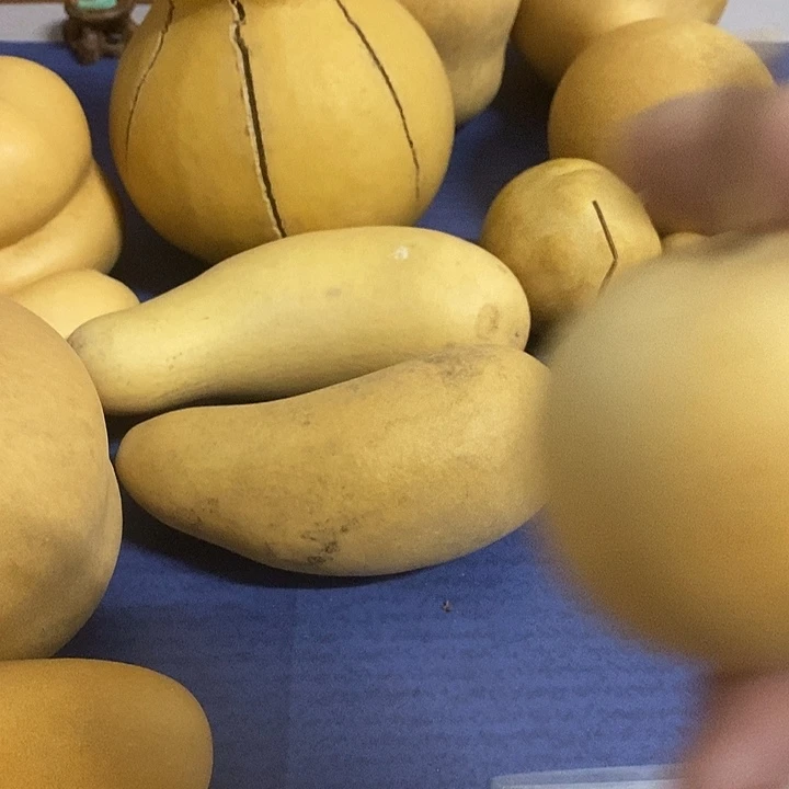 卷***菜葫芦手把件摆件葫芦