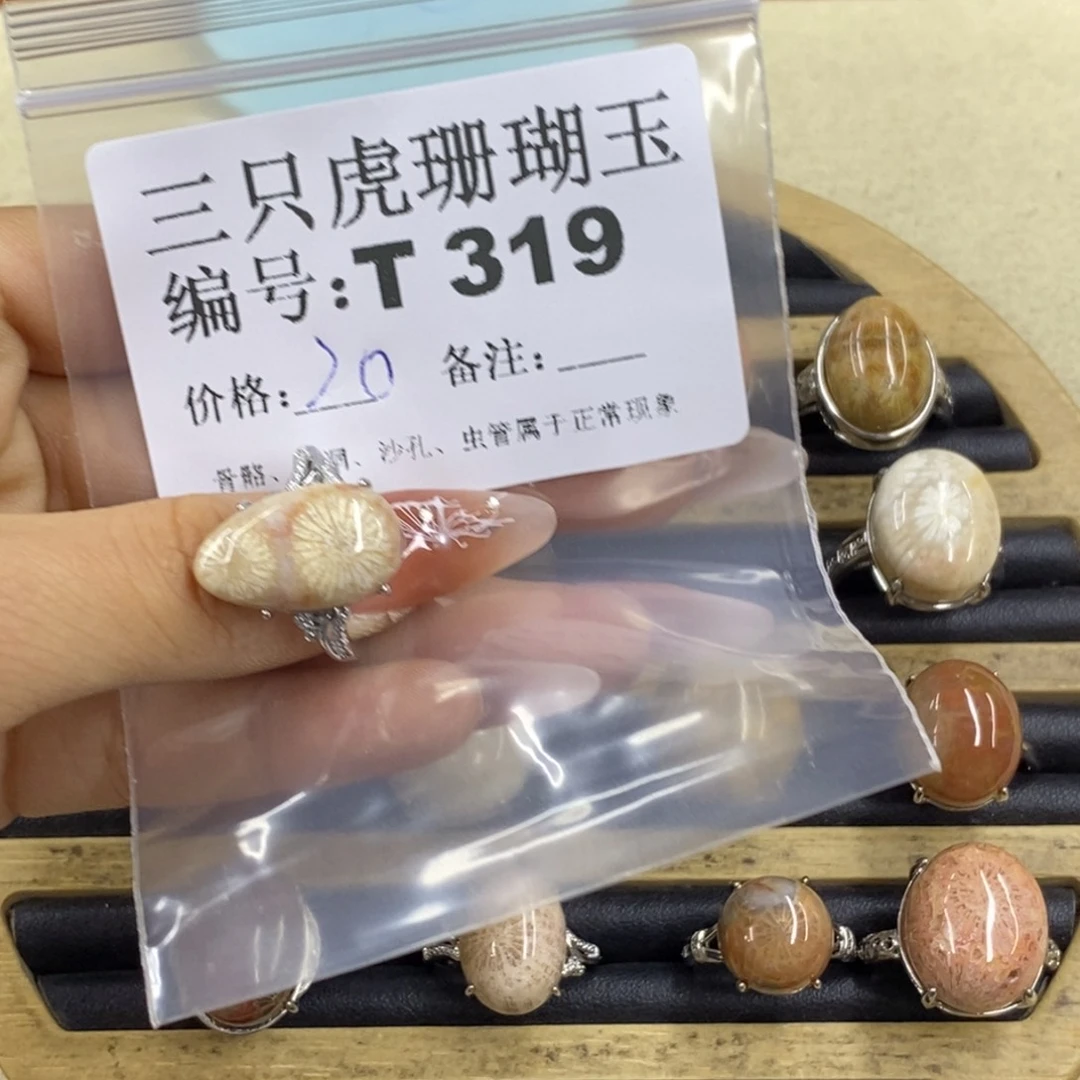 硅化珊瑚（珊瑚玉）1足银镀金镶嵌浪****?