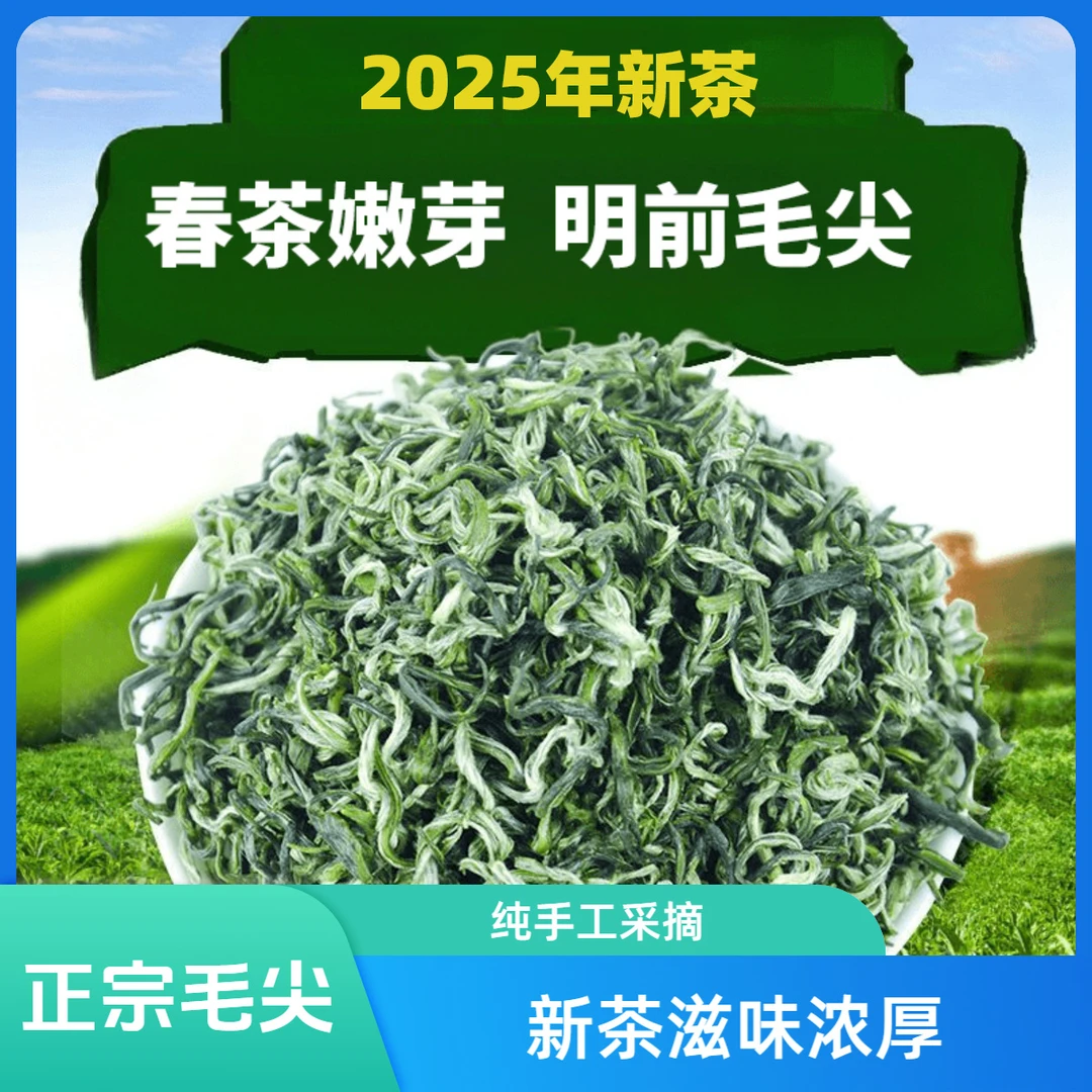 正宗贵州毛尖茶叶绿茶2025新茶明前毛尖茶嫩芽浓香型耐泡型