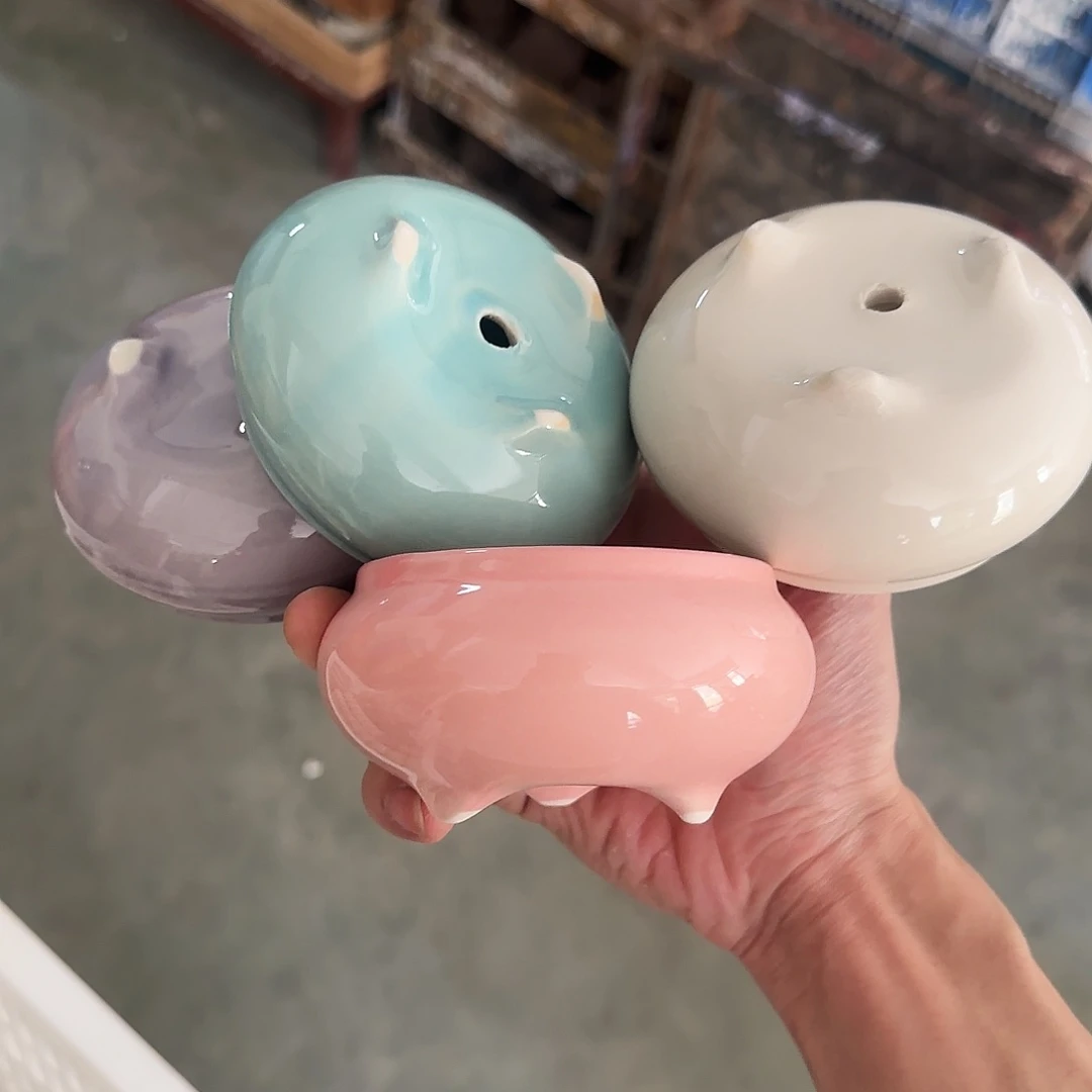 4个福利局［凑9元包邮24小时发］