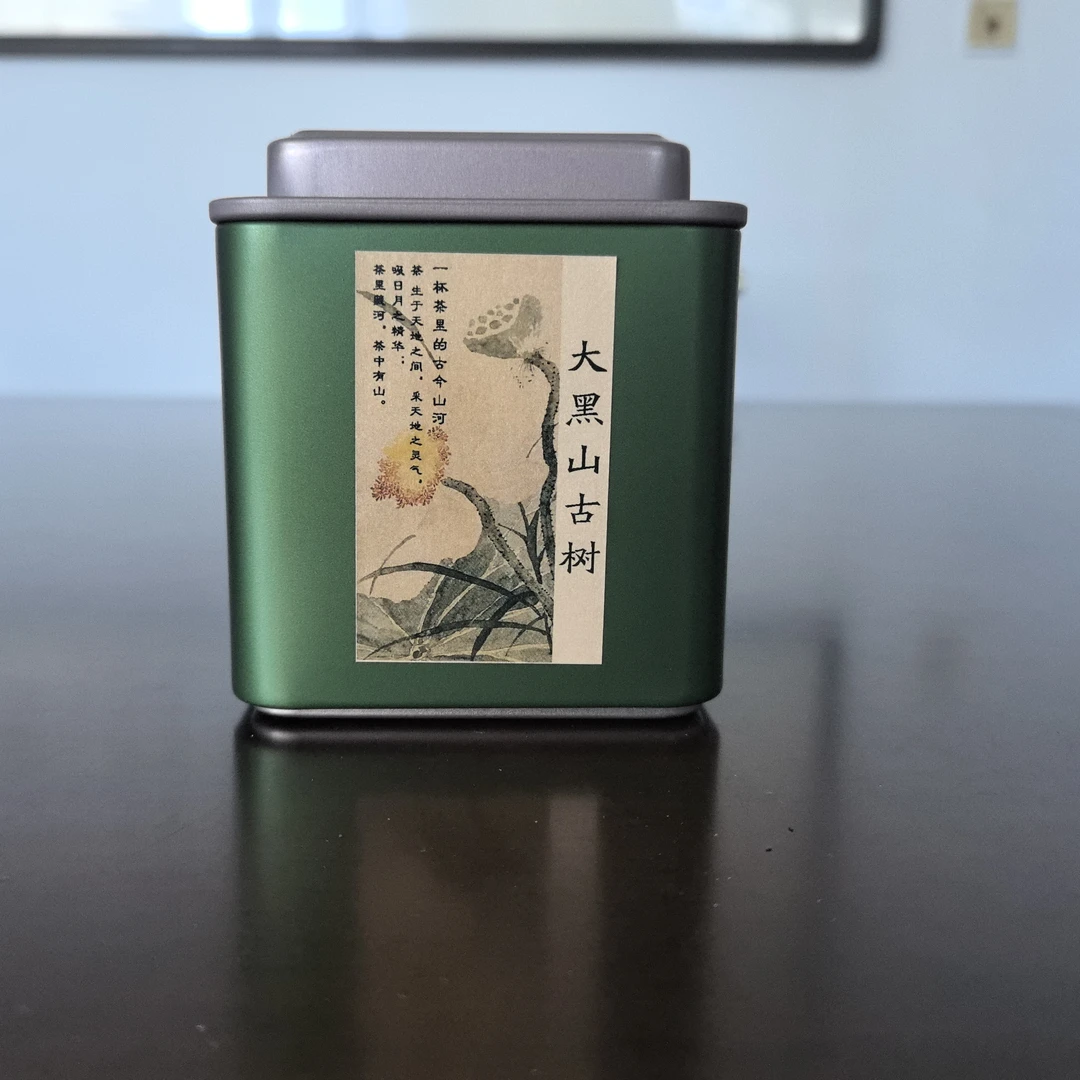 倚邦大黑山2025年头春头采古树，挑采小高杆