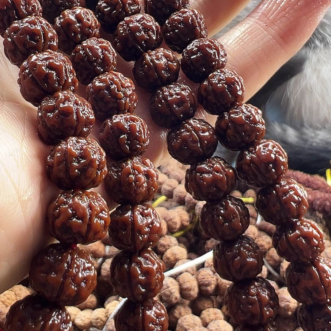 吊坠金刚菩提老树王