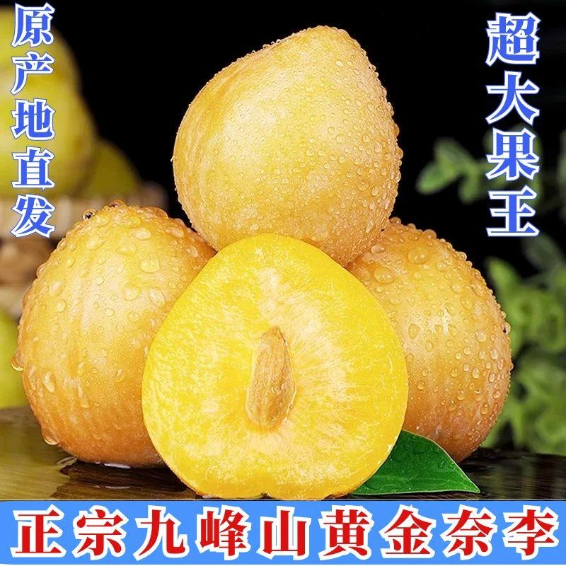 正宗韶关乐昌九峰山黄金奈李新鲜应季水果冰糖蜂蜜脆甜特大果包邮